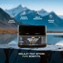 VedVision shilajit resin close-up amber texture highlights mineral-rich composition