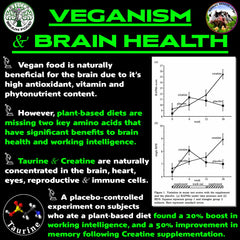 Close-up of Vegan Brain Food bottle label and serving details
