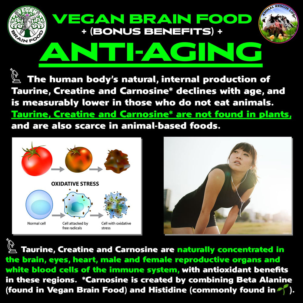 Vegan Brain Food ingredients list highlights key amino acids