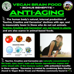 Vegan Brain Food ingredients list highlights key amino acids