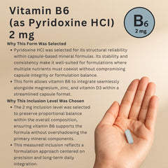 Label close up showing GMP-compliant and non-GMO clean formula for Venasolla