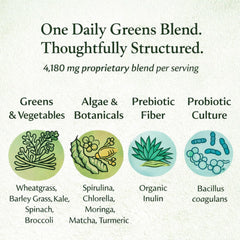 Close-up of Venasolla Citrus Punch powder for a refreshing daily boost