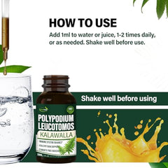 Verdeherb Polypodium leucotomos drops in glass bottle with eco packaging.