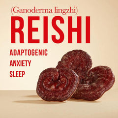 Vesper Reishi tincture dropper for easy daily relaxation