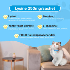 VFCARE Lysine for Cats dispensing illustration showing easy daily use.