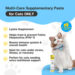 VFCARE Lysine for Cats packaging close-up highlighting vet-recommended formula.