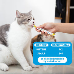 Cat-friendly serving idea of VFCARE Lysine for Cats over a meal.