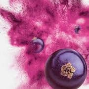 ViBERi Ready-to-Use Powder for easy smoothie additions.