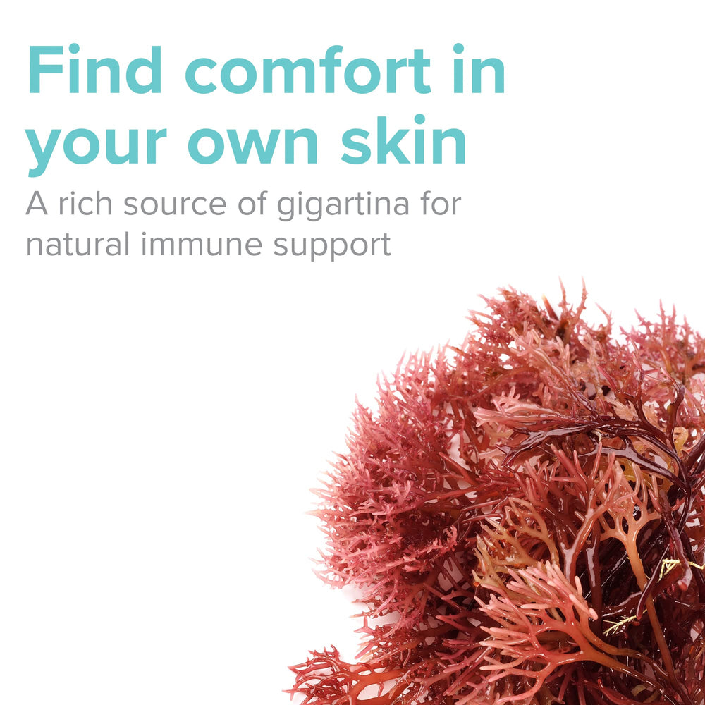 Vibrant Health capsules on a desk highlight convenient daily immune support