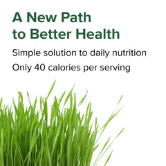 Vibrant Health Green Vibrance ingredients panel featuring nutrient-dense whole foods for balanced nutrition