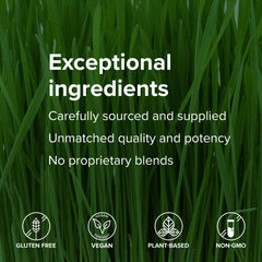 Vibrant Health Maximum Vibrance eco-friendly packaging for on-the-go use