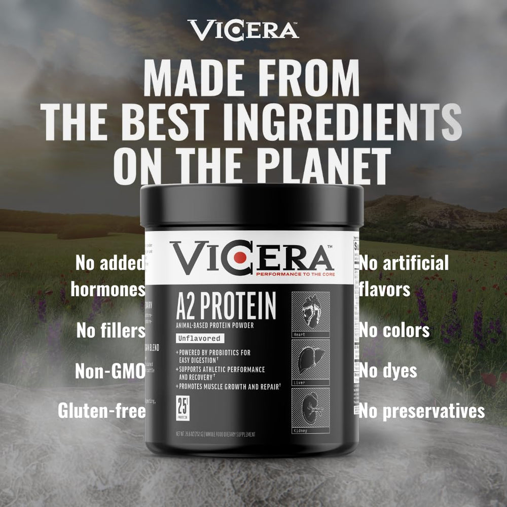 VICERA A2 protein powder in daily-use ideas for smoothies or oats