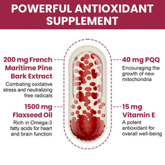Vigorizar Pycnogeno 95% proanthocyanidins seal signals potency.
