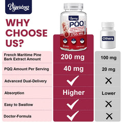 Vigorizar Pycnogeno flaxseed oil softgel showcases omega-3 rich formula.