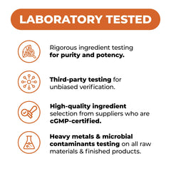 U.S. made Vimerson Health nattokinase manufacturing facility snapshot