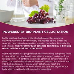 VINIA science and research visual with clinical backing.