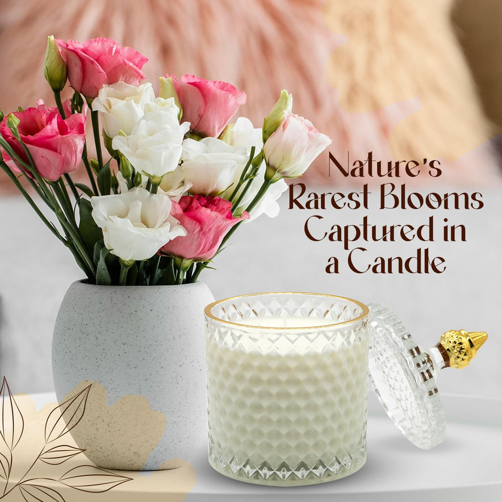 VIONAMI 14.8-ounce soy candle offers clean burn and steady fragrance release