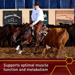 Antioxidant support illustration with Vita Flex Lactanase during intense exercise.