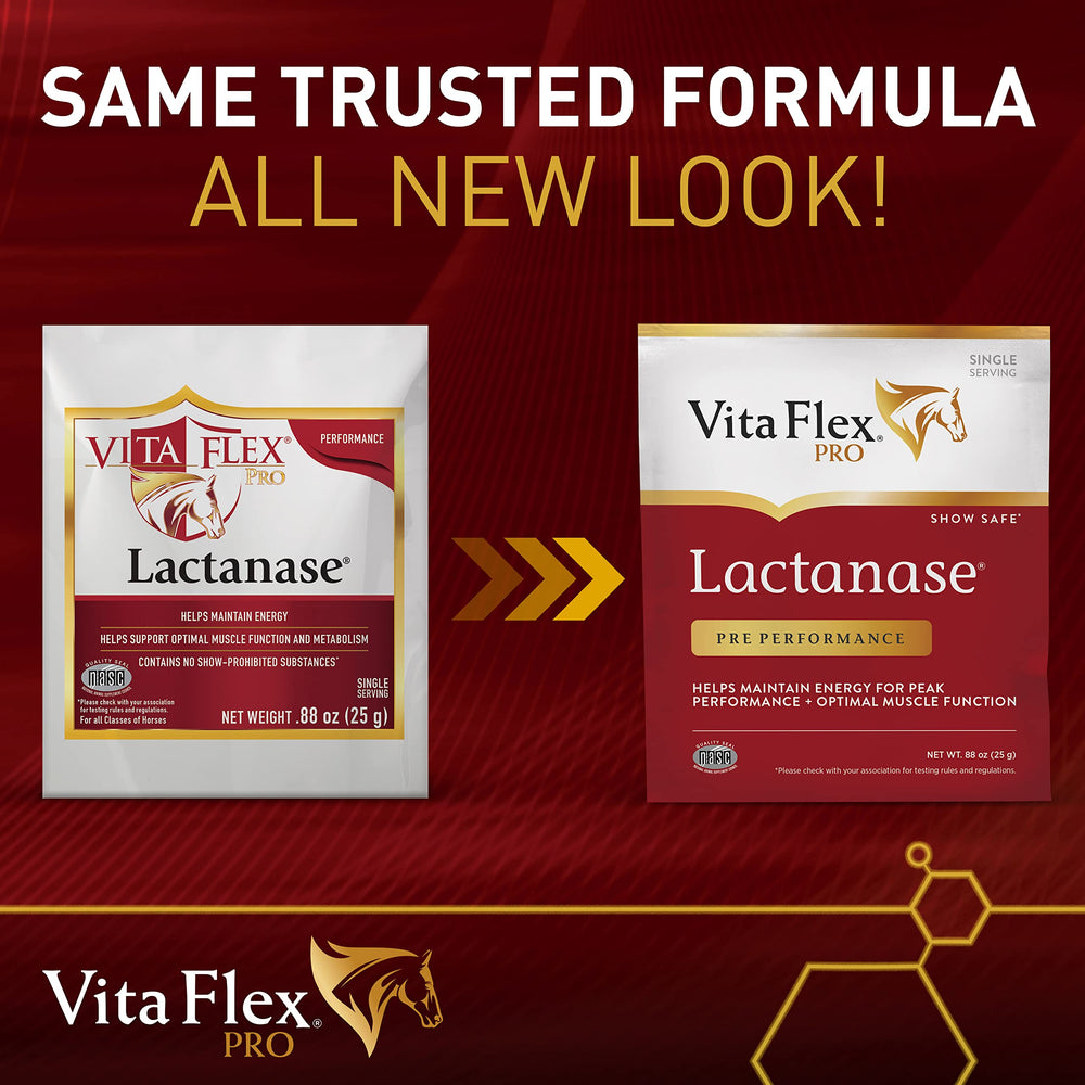 Vita Flex Lactanase single 25g packet, portable energy for workouts.