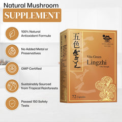 Vita Green Lingzhi packaging box for convenient daily routine