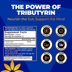 Vita Bloom Labs Tributyrin digestive wellness in a calm kitchen setting.