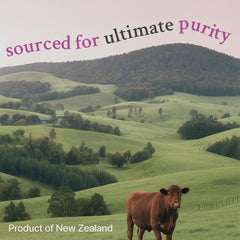 Vital Core thyroid-support ingredients highlight natural, non-GMO formulation.