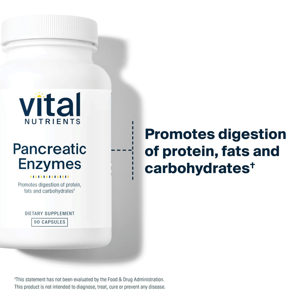 Vital Nutrients digestion graphic illustrating enzyme support for gut comfort
