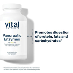 Vital Nutrients Pancreatic Enzymes packaging, clean-label formula free from artificial fillers.