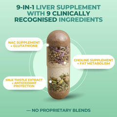 Vital Nutritive Vital Liver Support artichoke extract close-up for digestion.