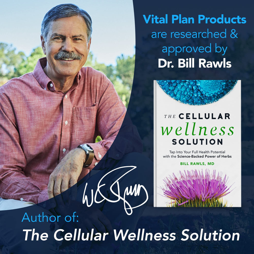 Vital Plan Chinese Skullcap capsules for immune-balancing herbs.