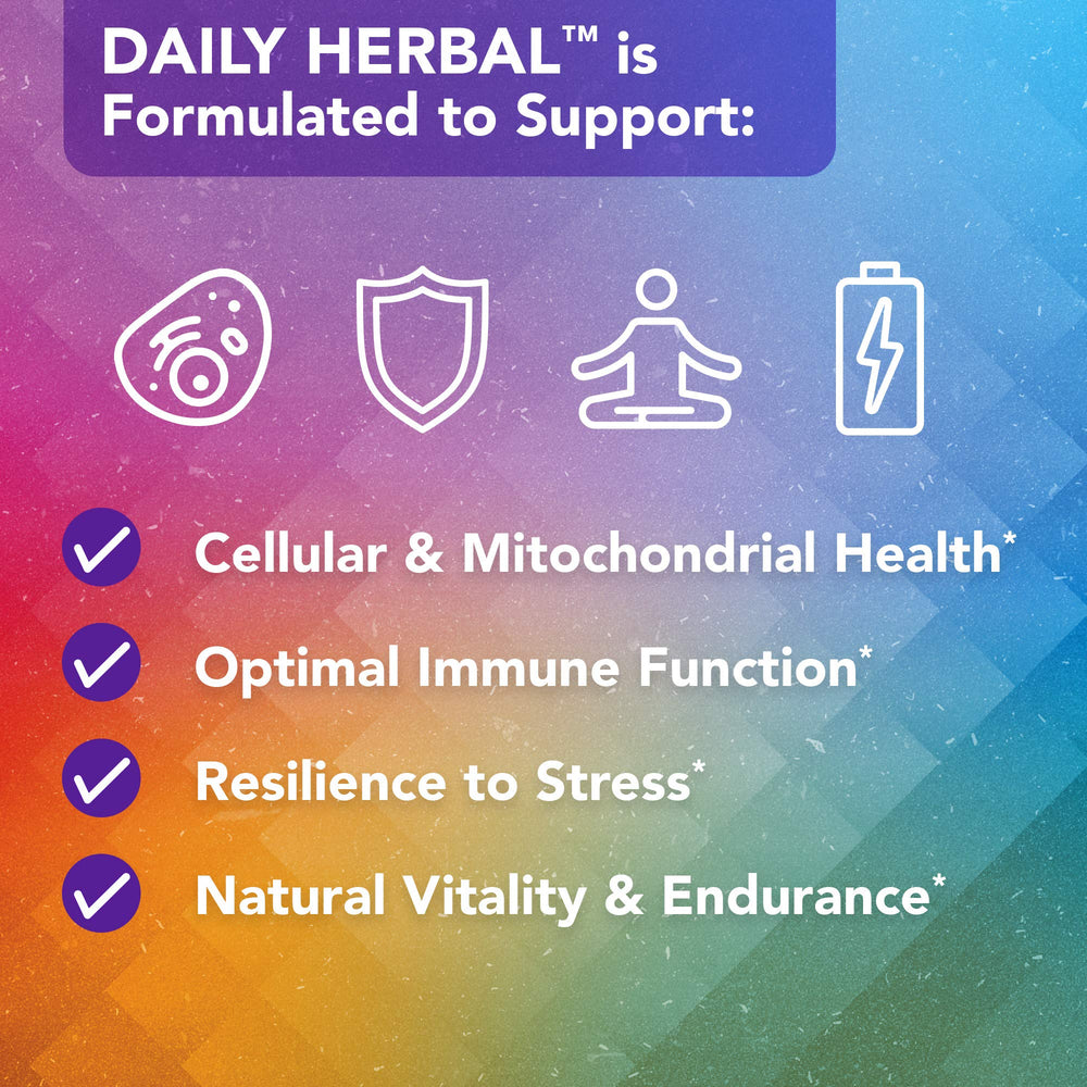 Vital Plan Daily Herbal Supplement microbiome balance focus highlights gut-supporting herbs