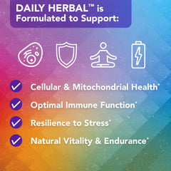 Vital Plan Daily Herbal Supplement microbiome balance focus highlights gut-supporting herbs