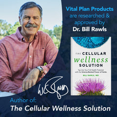 Vital Plan digestive health scene illustrating comfortable digestion after meals