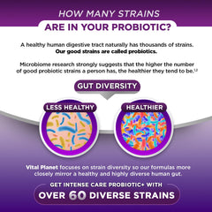 Vital Planet acid-resistant capsules image demonstrates targeted intestinal delivery.
