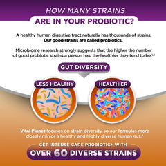 Vital Planet 4-in-1 biotics concept graphic for comprehensive gut support