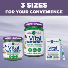 Vital Planet Vital Gut Renew 20 single-serve packs for on-the-go use.