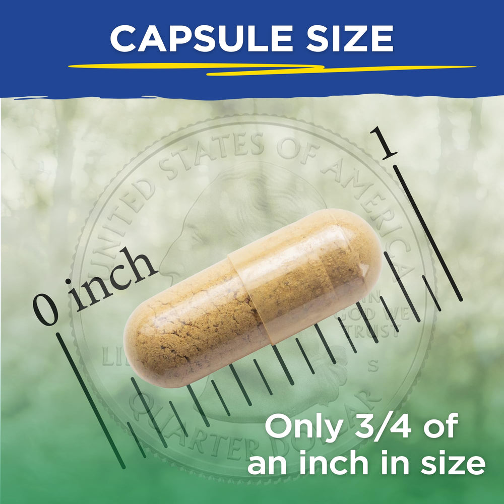 Vital LiverPure ingredients featuring andrographis and Ayurvedic herbs