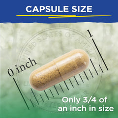 Vital LiverPure ingredients featuring andrographis and Ayurvedic herbs
