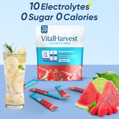 Graphic of minerals and nutrients highlighting electrolytes and vitamins.
