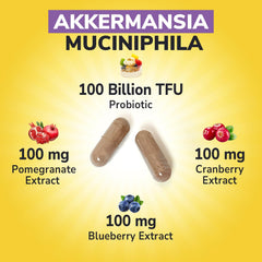 Capsules close-up showing pasteurized Akkermansia in Vitalibre product