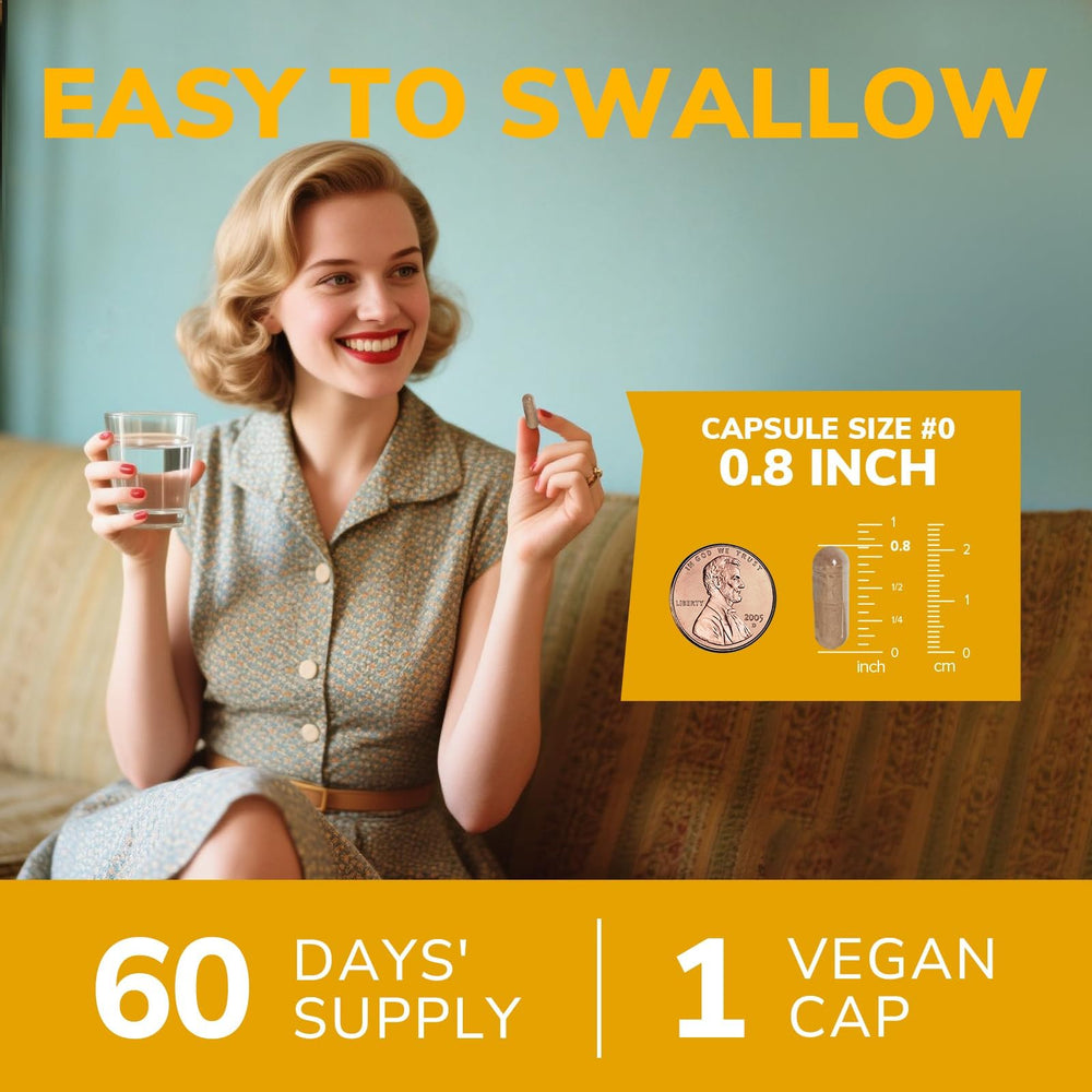 Gut health concept illustration associated with Vitalibre product