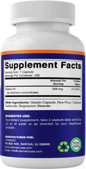 Vitamatic Vitamin B1 GMP-certified facility demonstrates quality manufacturing