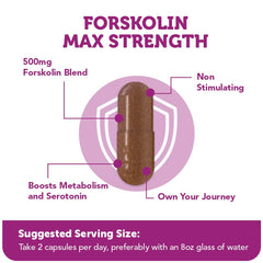 Forskolin powder with 20% standardized content shown with a scoop