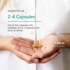 Scene showing herbal blend ingredients suggesting fenugreek and gymnema benefits