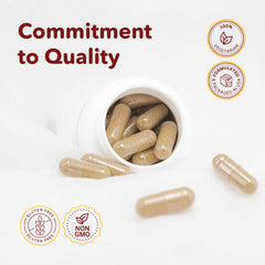 VITASUPPORTMD H Formula capsules featuring horse chestnut extract.