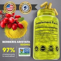 VitaUp Berberine capsules close-up show easy daily dosage.