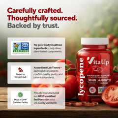 VitaUp GMP-certified facility seal indicating product quality.