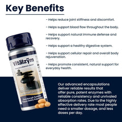VITÄLZYM bottle with label illustrating immune and joint support