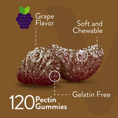 Viteey Iron Gummies daily-use bottle shot highlighting 20 mg iron per serving.