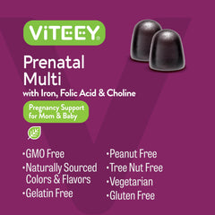 Two-month supply display of Viteey Prenatal Gummies in bottle.